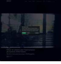 Vignette screenshot Tenor Data Solutions 