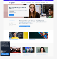 Vignette screenshot WiseTech GLOBAL