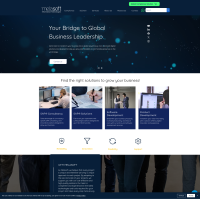 Vignette screenshot MELASOFT